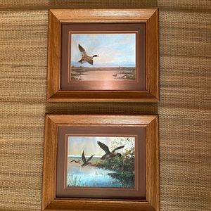 Two vintage Dufex prints of mallard ducks, by F. Osborne, framed
